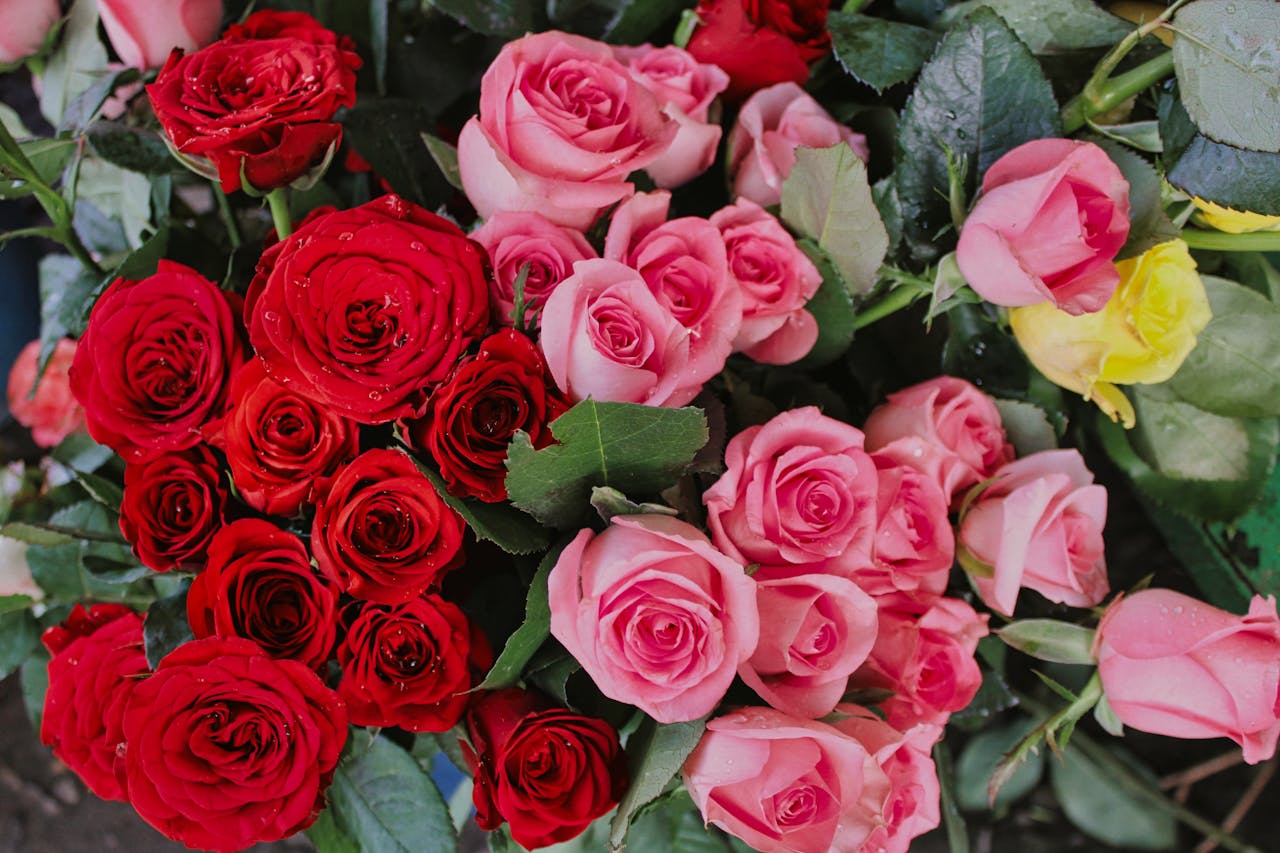 Crafting Captivating Headlines: Your awesome post title goes here A close-up of red, pink, and yellow rose bouquets with fresh dew drops on petals.